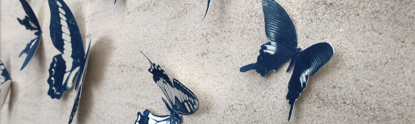 Cyanotype butterflies from the Swarm piece of art by Leah Sobsey. Pictured from the RCC Main Lobby.