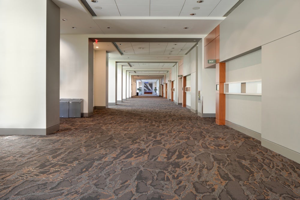 South Hallway (2) (1).jpg