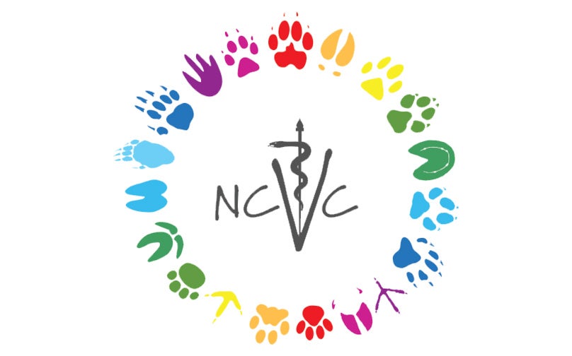 More Info for NC Veterinary Conference 