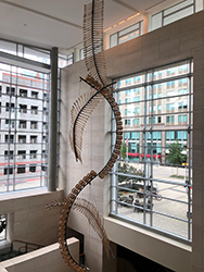 Wooden Banjo pieces comprise this mobile, which is suspended from the ceiling of the RCC. Banjo parts create curved arcs in a cascade to the bottom level of the building.