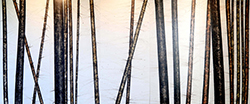 This large format mixed media painting shows brown narrow and bare tree trunks against a white background. The trees move vertically on the canvas.