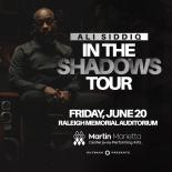Ali Siddiq: In The Shadows 2025 artwork