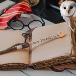 Photo of book with wand, round glasses, and owl