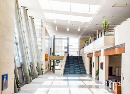 A beige stone and tiled expansive 9,000 sq. ft. Main Lobby during the day, with sunlight coming through large window panels. A large green staircase leads from the ground floor upward.