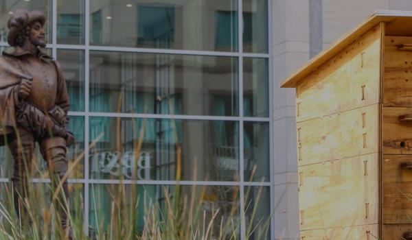 Rectangular uplight beehive in yellow pine with Sir Walter Raleigh statue in the background
